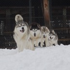 Group Run0014.jpg