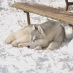 TenzingSleep2070.jpg
