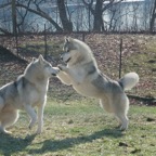 Zoe&Tenzing0175.jpg