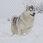 Zoe0052.jpg