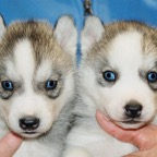 BeaGrM&F4wks.jpg