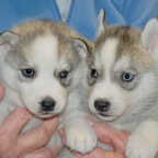 BeaGrM&F5wks.jpg