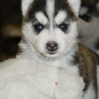 MollyF0790.jpg