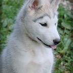 Finn0683smlw.jpg