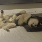 IMG01358-20100828-0206.jpg