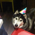 IMG01439-20101010-2053.jpg