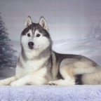 Micah studio.jpg