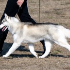 IMG_2285.JPG
