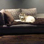 IMG00257-20110205-1953.jpg