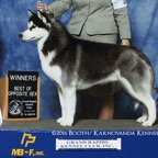 RogerBOS WD GrandRapidsKClw.jpg