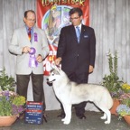 2008-06-08_simon_finishing.jpg