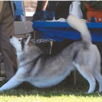 2009-10-24_ted_stretch.jpg