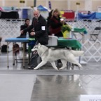 Photo taken by Kirsten Falk-2.jpg