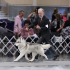 Photo taken by Kirsten Falk-4.jpg