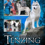 Tenzing August 2011lw.jpg