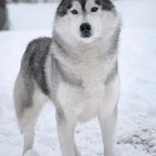 Xeke9801lw.jpg