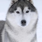 Xeke9798HDSHTlw.jpg