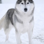 Xeke9798lw.jpg