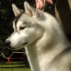 xeke head shot.jpg