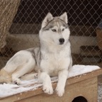 Cassie0457.jpg