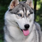 Freyja0052.jpg