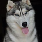Freyja2649.jpg