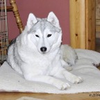 Frosty8476lw.jpg