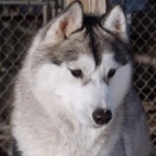 Graylynn0884lw.jpg