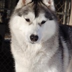 Graylynn0890lw.jpg