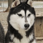 Khloe0596lw.jpg