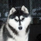 Kyra0266lw.jpg