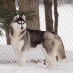 Kyra0406lw.jpg