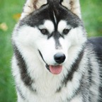 Kyra4698lw.jpg
