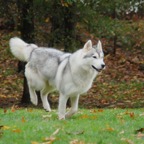 Molly4685.jpg
