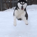 Nikki0432lw.jpg