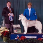Pretty BOW Cleveland.jpg