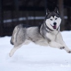 WHeezie0126lw.jpg
