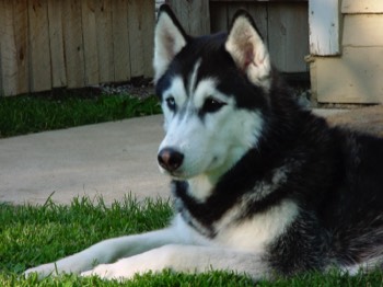Stacks Image 132